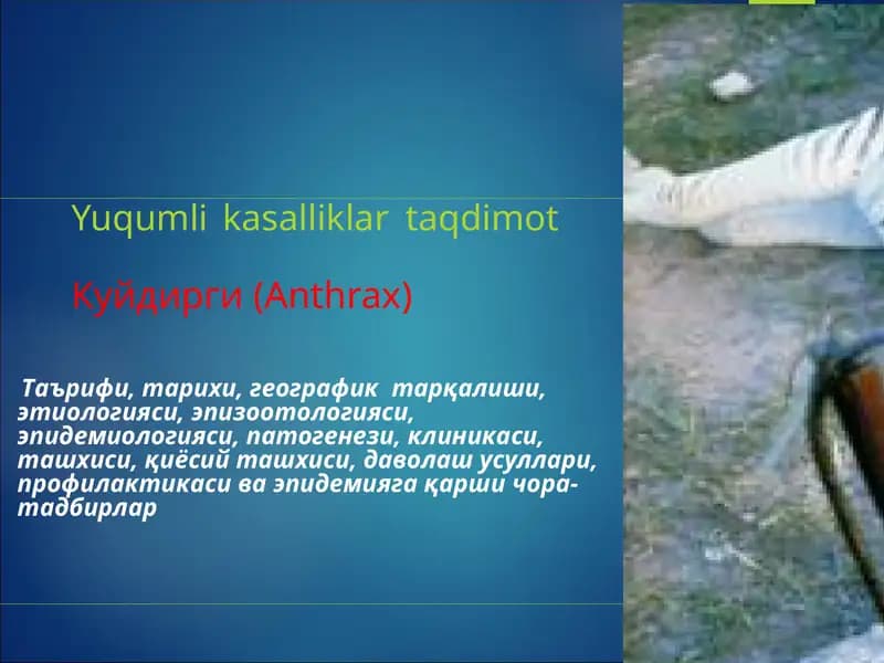Kuydirgi