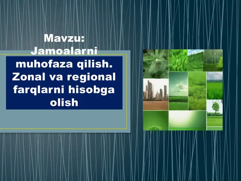 Jamoalarni muhofaza qilish. Zonal va regional farqlarni hisobga olish