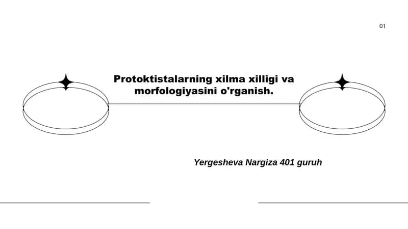 Protoktistalarning xilma xilligi va morfologiyasini o'rganish