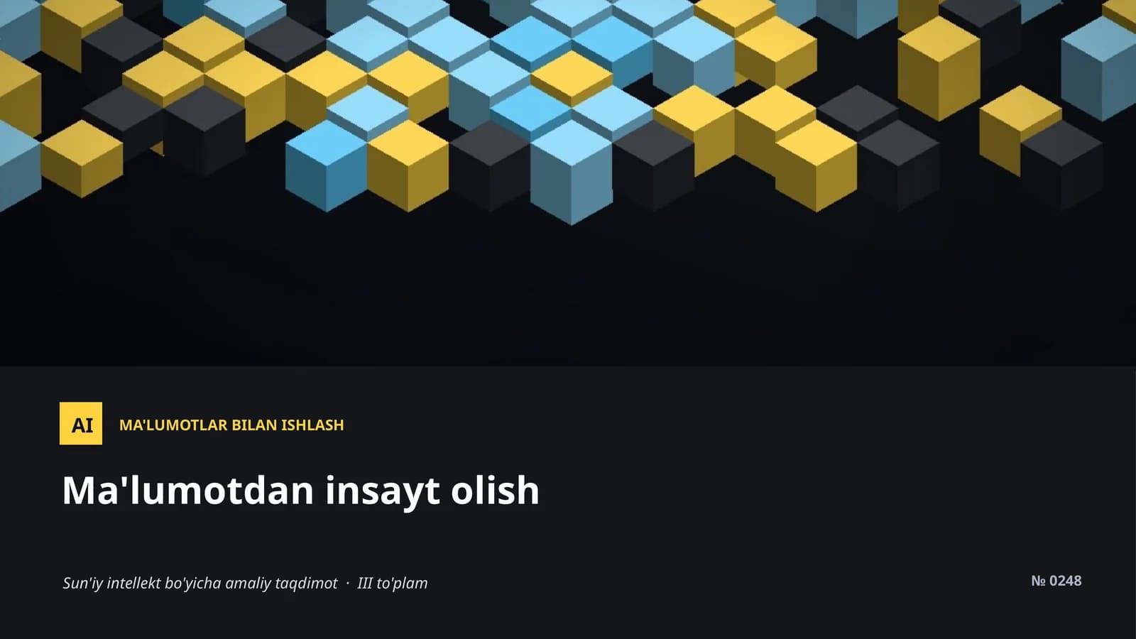 Sun'iy intellekt bo'yicha amaliy taqdimot · III to'plam