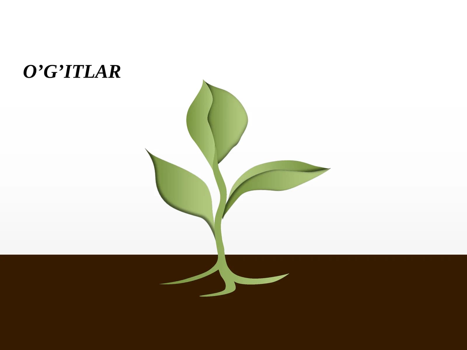 O’G’ITLAR