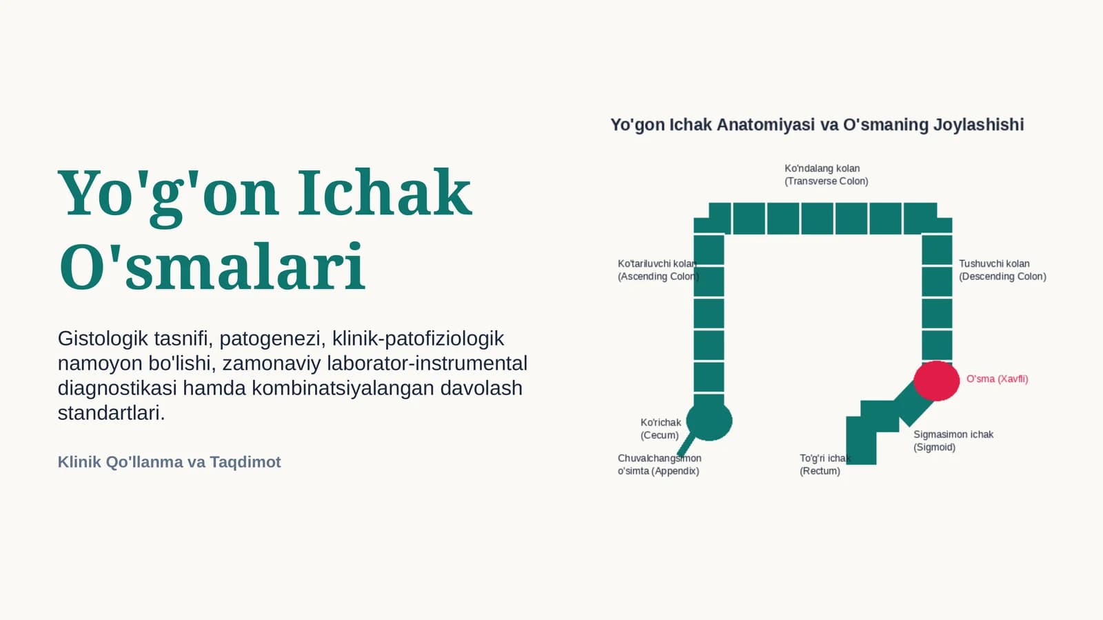 YO‘G‘ON ICHAK O‘SMALARI | 15 SLAYDLI PROFESSIONAL TIBBIY TAQDIMOT