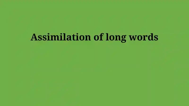 Long Word Assimilation Strategies