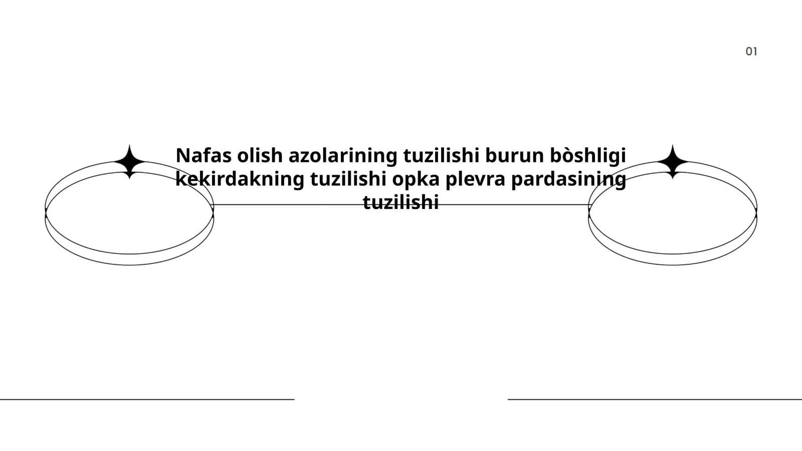 Nafas olish azolarining tuzilishi burun bòshligi kekirdakning tuzilishi opka plevra pardasining tuzilishi