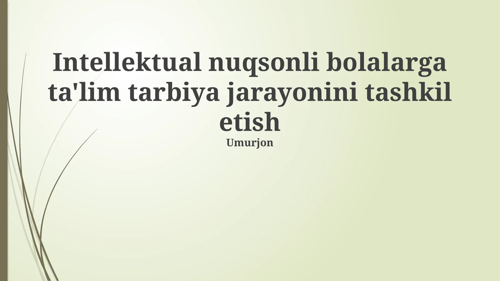 Intellektual nuqsonli bolalarga ta'lim tarbiya jarayonini tashkil etish