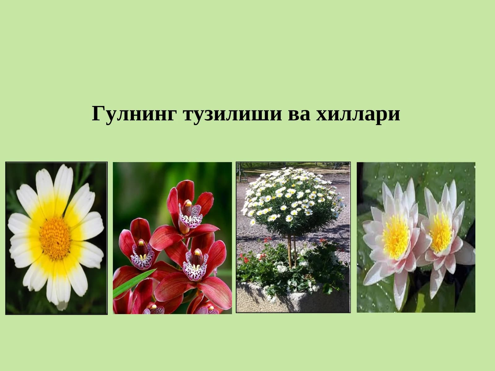 Гулнинг тузилиши ва хиллари