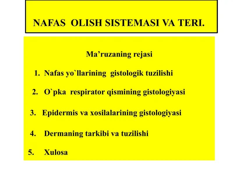 NAFAS  OLISH SISTEMASI VA ТERI.