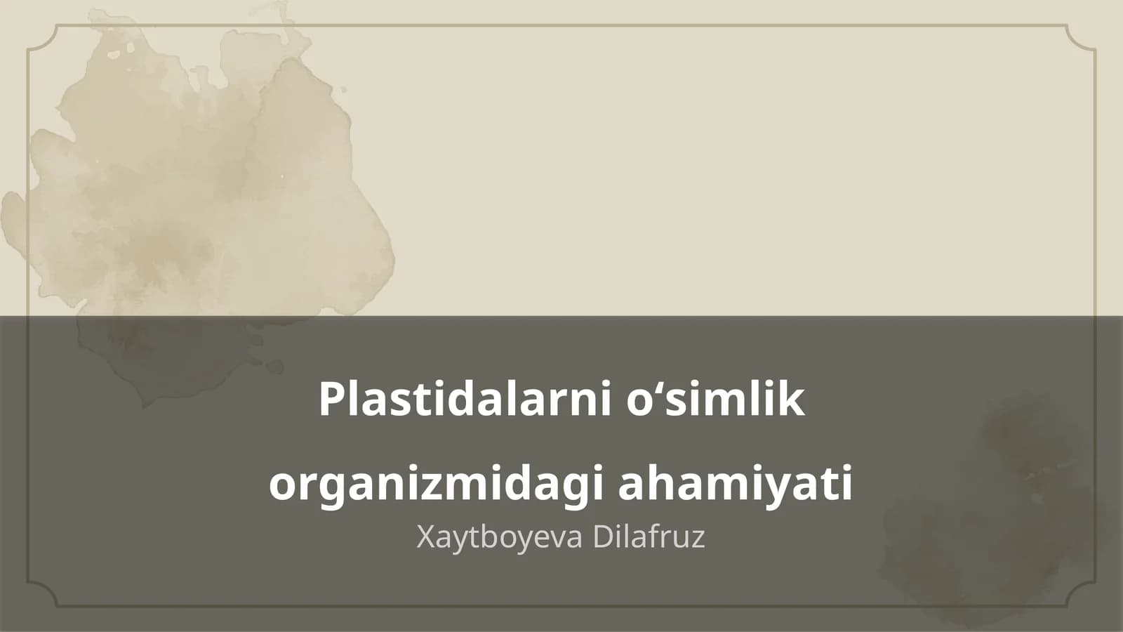 Plastidalarni oʻsimlik organizmidagi ahamiyati