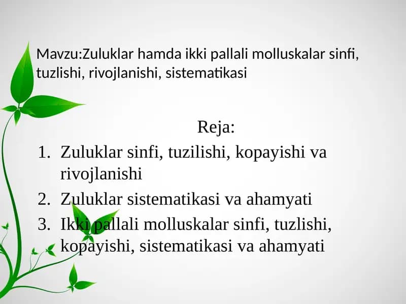 Zuluklar hamda ikki pallali molluskalar sinfi, tuzilishi, rivojlanishi, sistematikasi