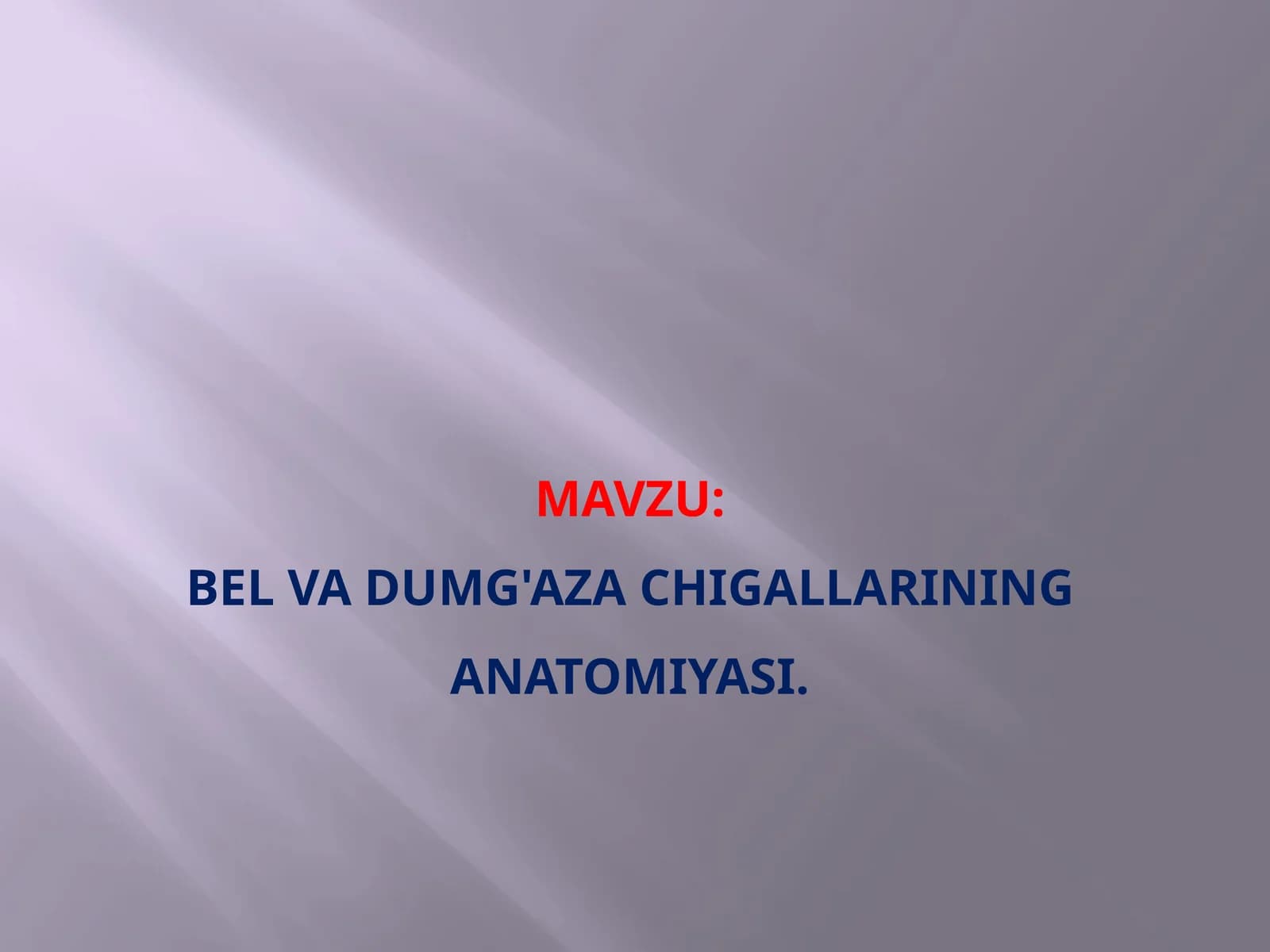 Bel va dumg'aza chigallarining anatomiyasi.