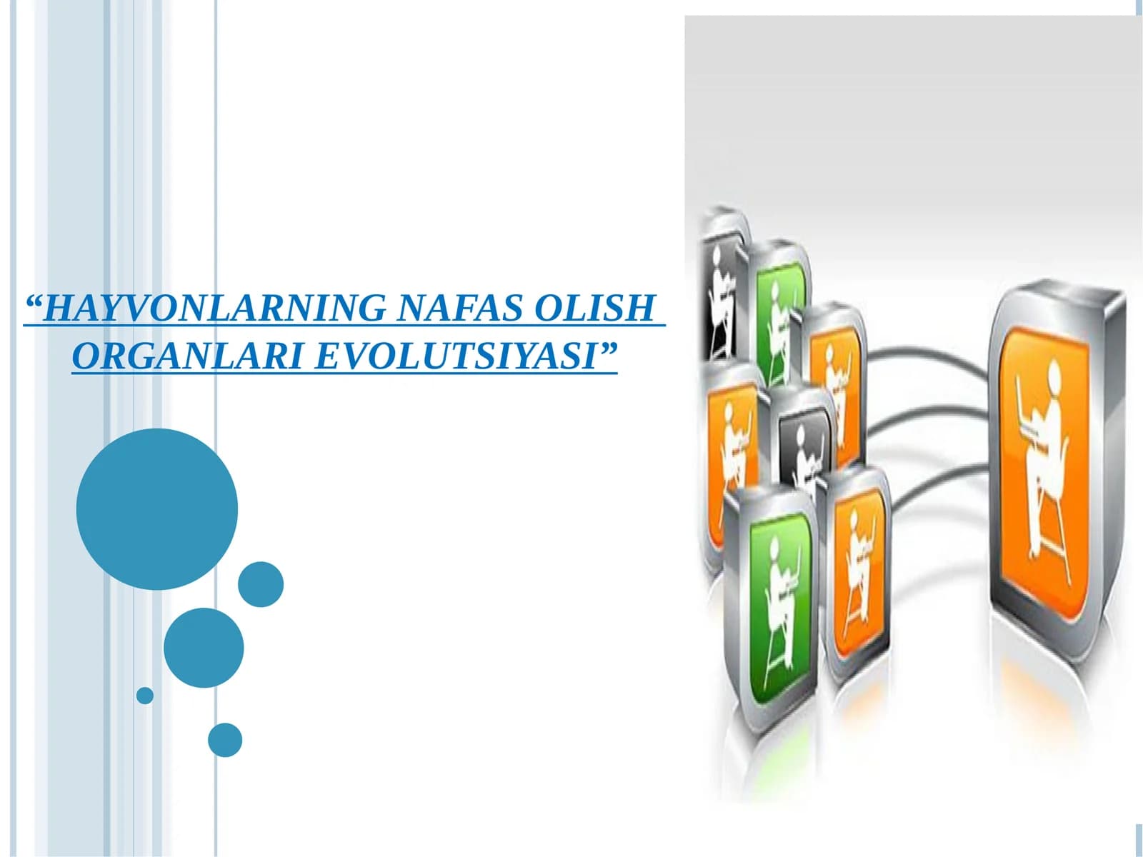 HAYVONLARNING NAFAS OLISH ORGANLARI EVOLUTSIYASI