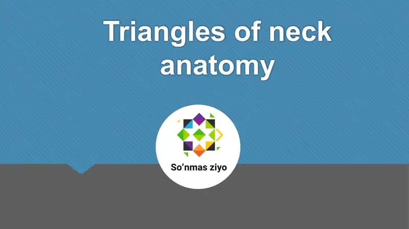 Triangles of neck anatomy