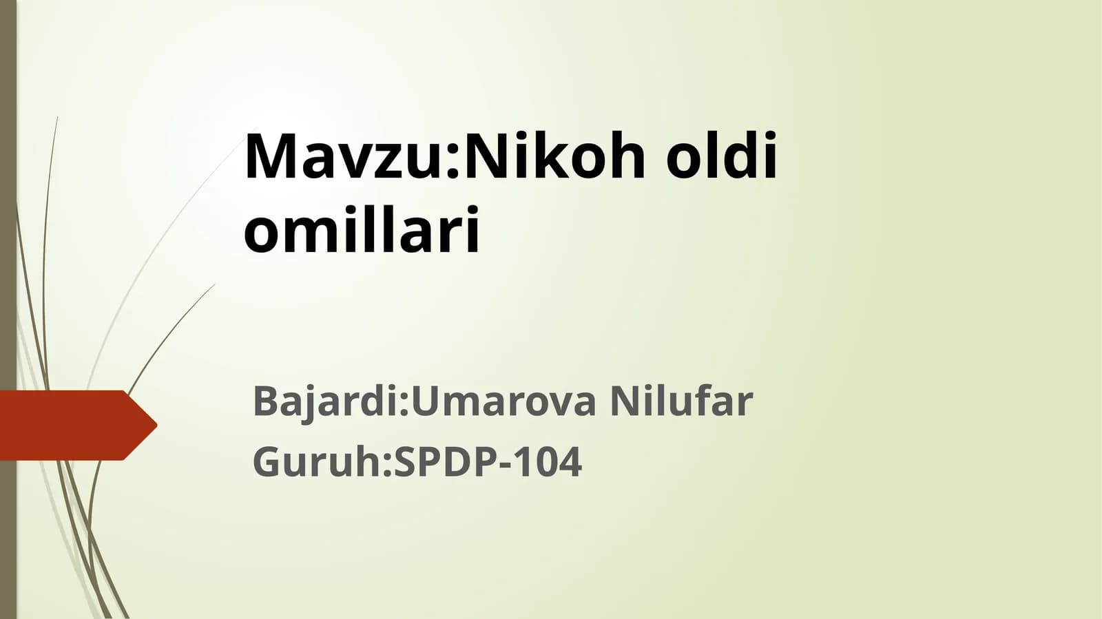 Nikoh oldi omillari