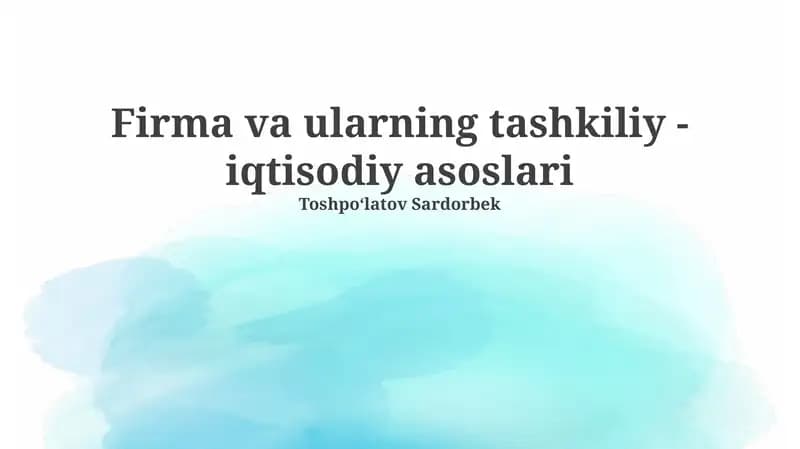 Firma va ularning tashkiliy - iqtisodiy asoslari