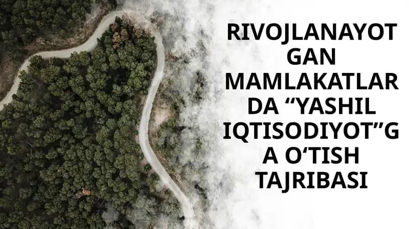 RIVOJLANAYOTGANMAMLAKATLARDA “YASHIL IQTISODIYOT”GA O‘TISH TAJRIBASI