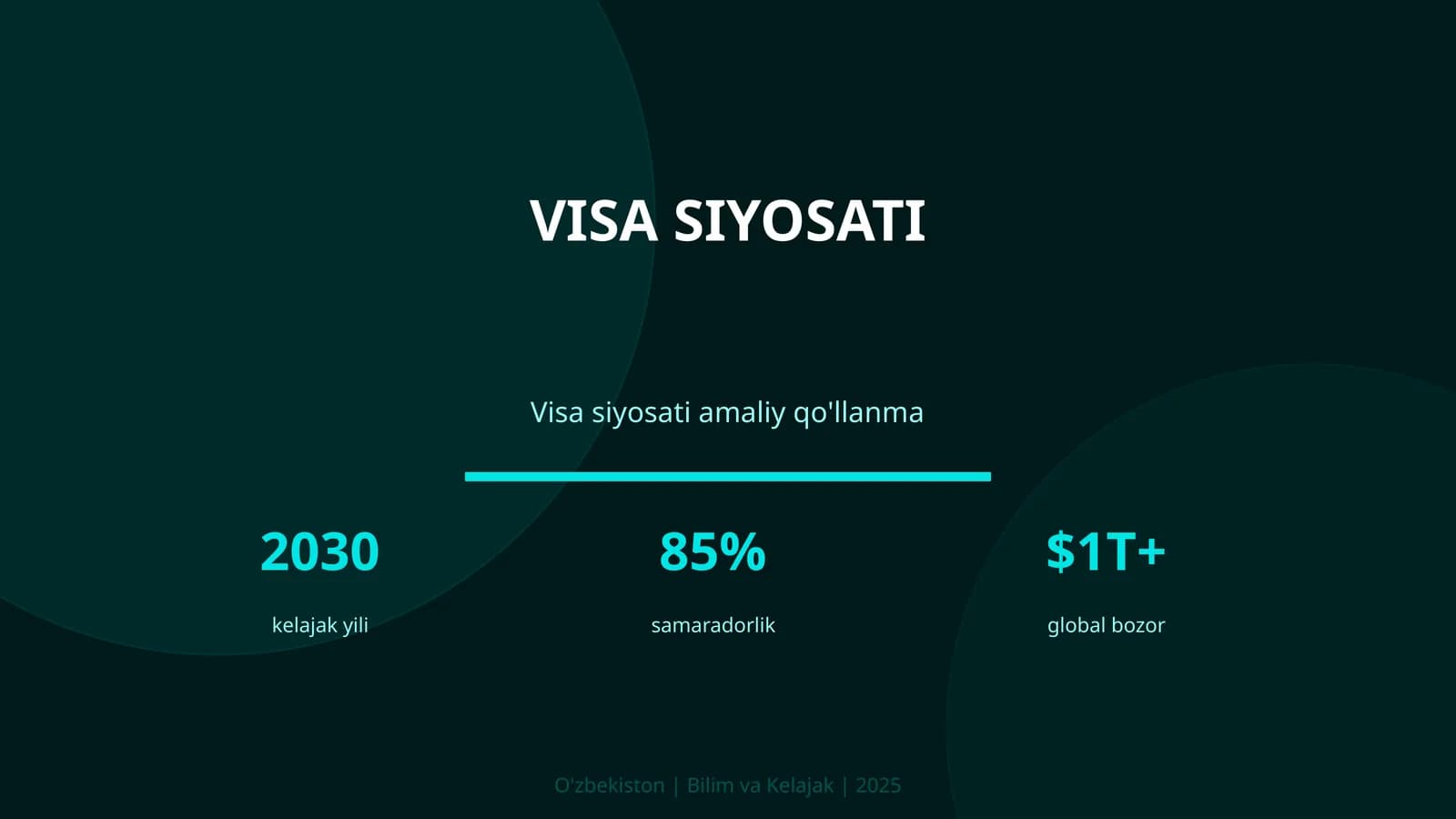VISA SIYOSATI