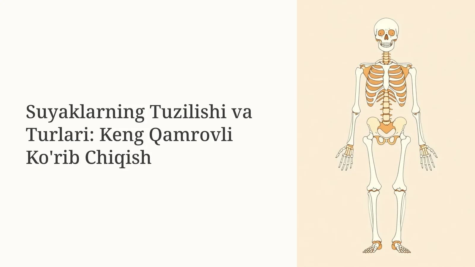 Suyaklarning Tuzilishi va Turlari