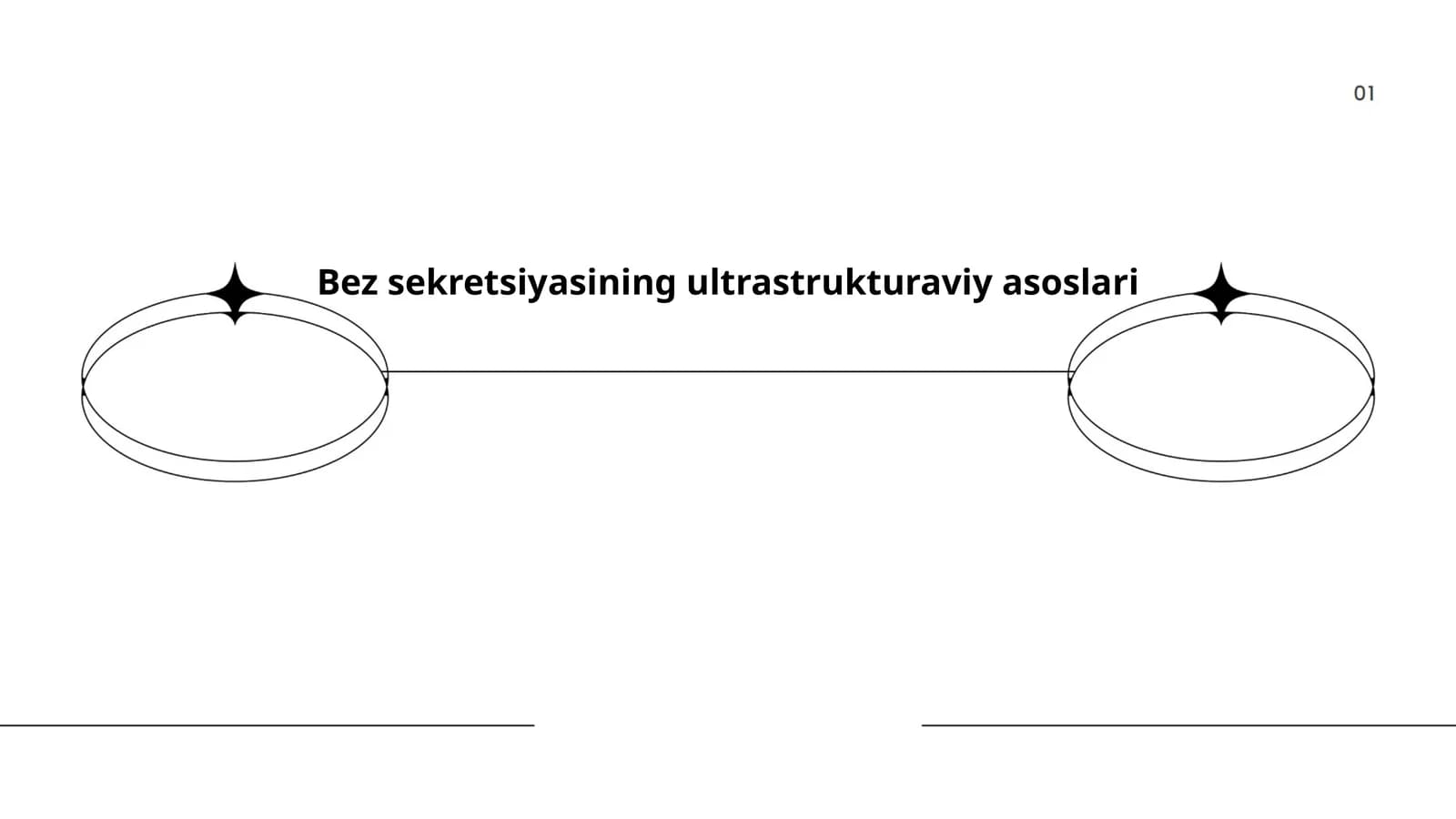 Bez sekretsiyasining ultrastrukturaviy asoslari