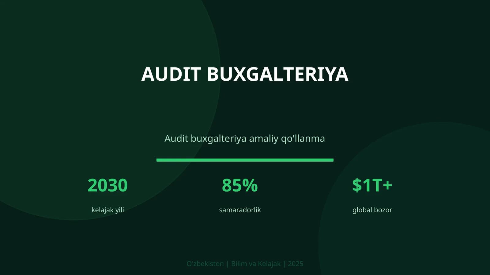 Audit buxgalteriya
