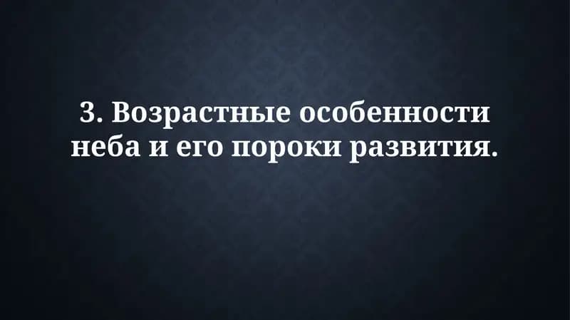 Возрастные особенности неба и его порокиразвития