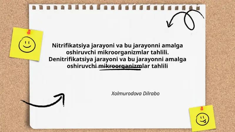 Nitrifikatsiya va Denitrifikatsiya mikroorganizmlar tahlili
