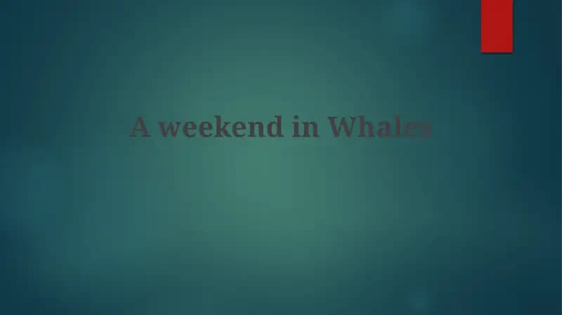 A weekend in Whales