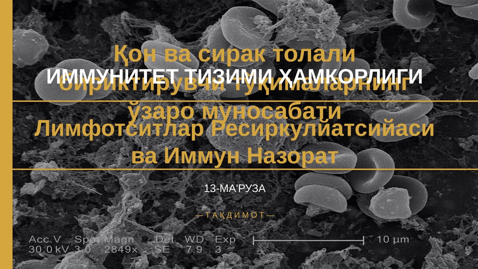 ИММУНИТЕТ ТИЗИМИ ҲАМКОРЛИГИ