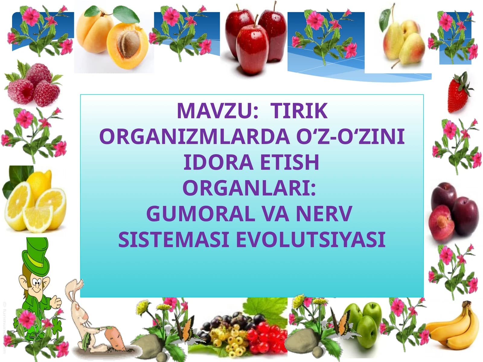 TIRIKORGANIZMLARDA O‘Z-O‘ZINI IDORA ETISH ORGANLARI: GUMORALVA NERV SISTEMASIEVOLUTSIYASI