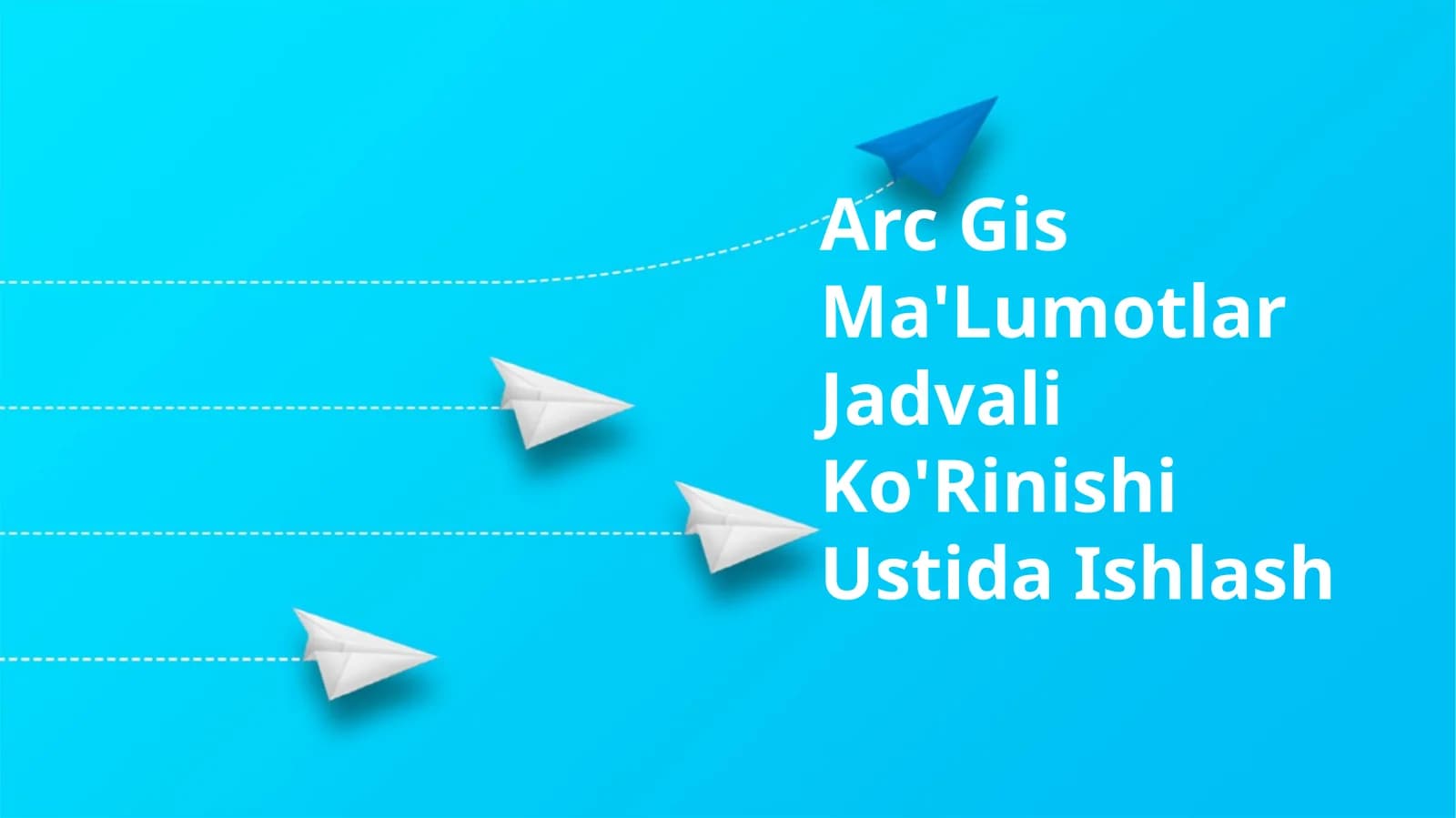 Arc Gis Ma'Lumotlar Jadvali Ko'Rinishi Ustida Ishlash