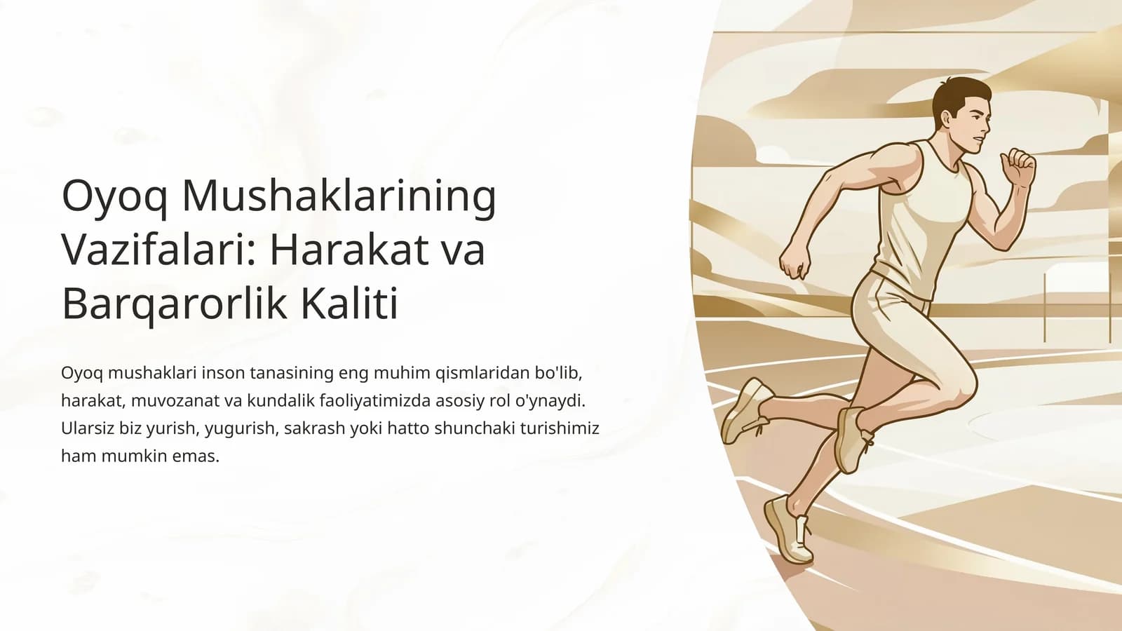 Oyoq Mushaklarining Vazifalari