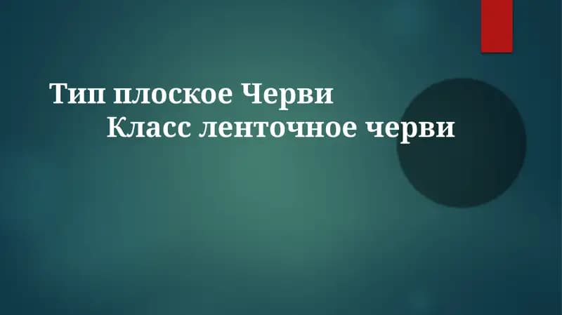 Морфология и физиология ленточных червей