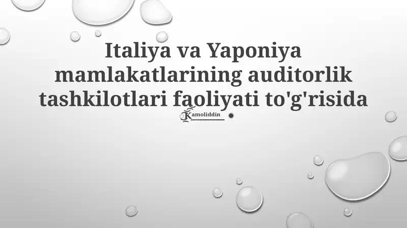 Italiya va Yaponiya mamlakatlarining auditorlik tashkilotlari faoliyati to'g'risida