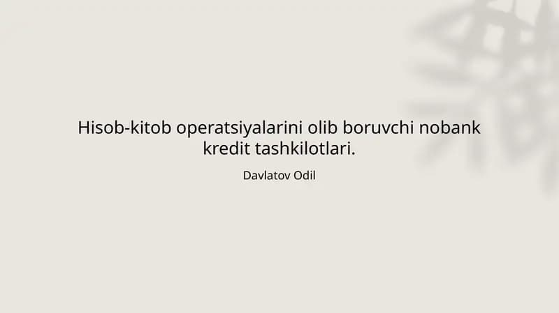 Nobank kredit tashkilotlari hisob-kitob operatsiyalarini osonlashtiradi