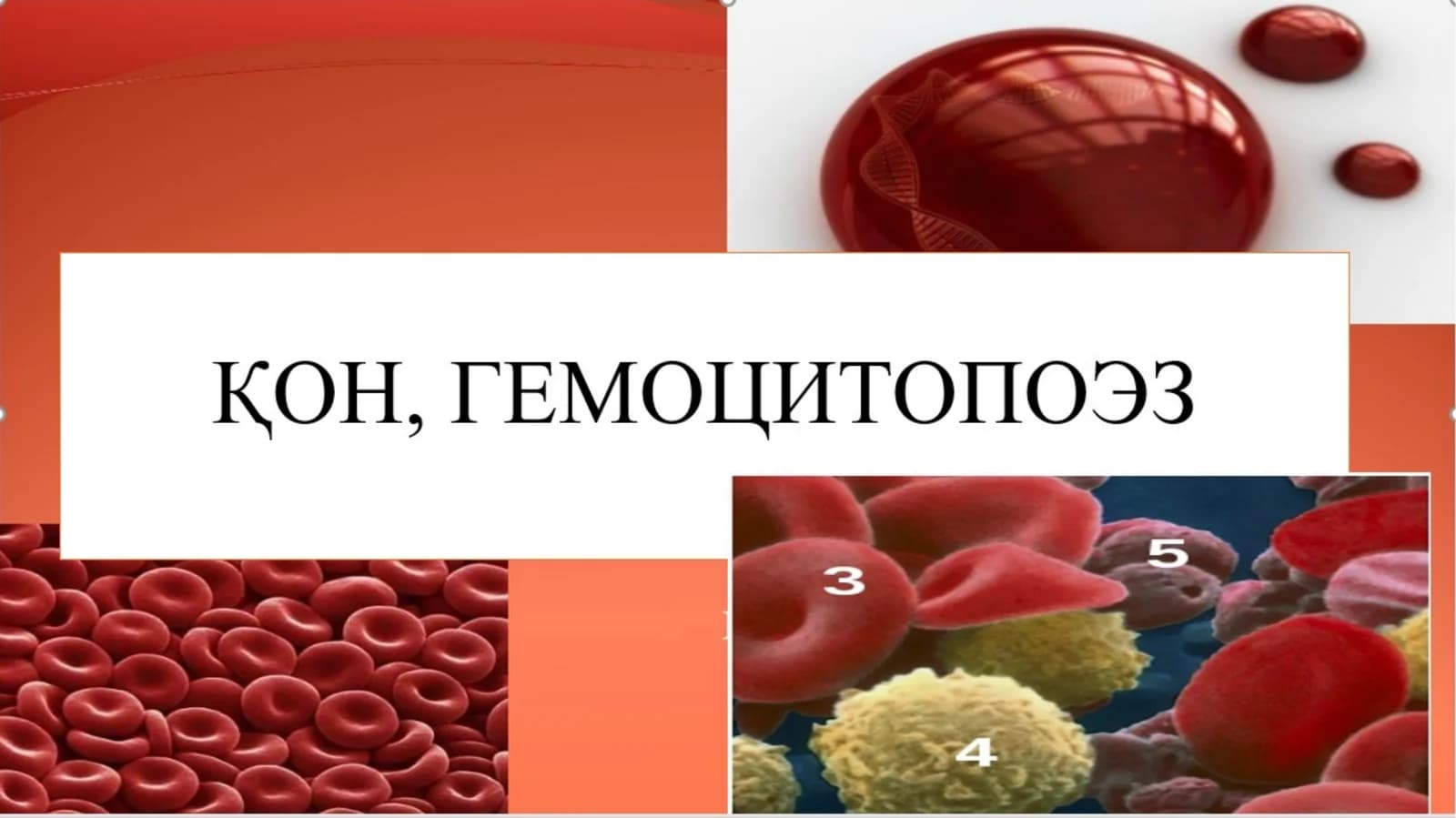 ҚОН-ИЧКИ МУХИТ ТЎҚИМАСИ