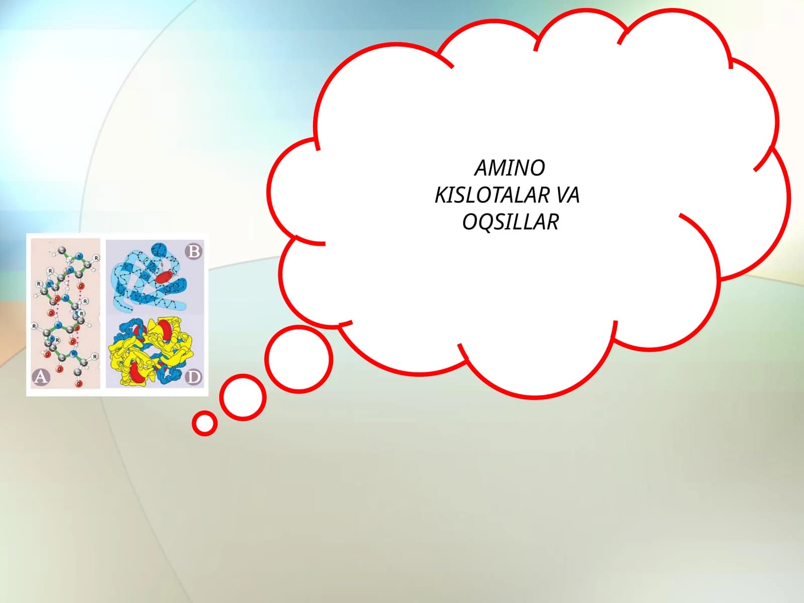 AMINO KISLOTALAR VA OQSILLAR