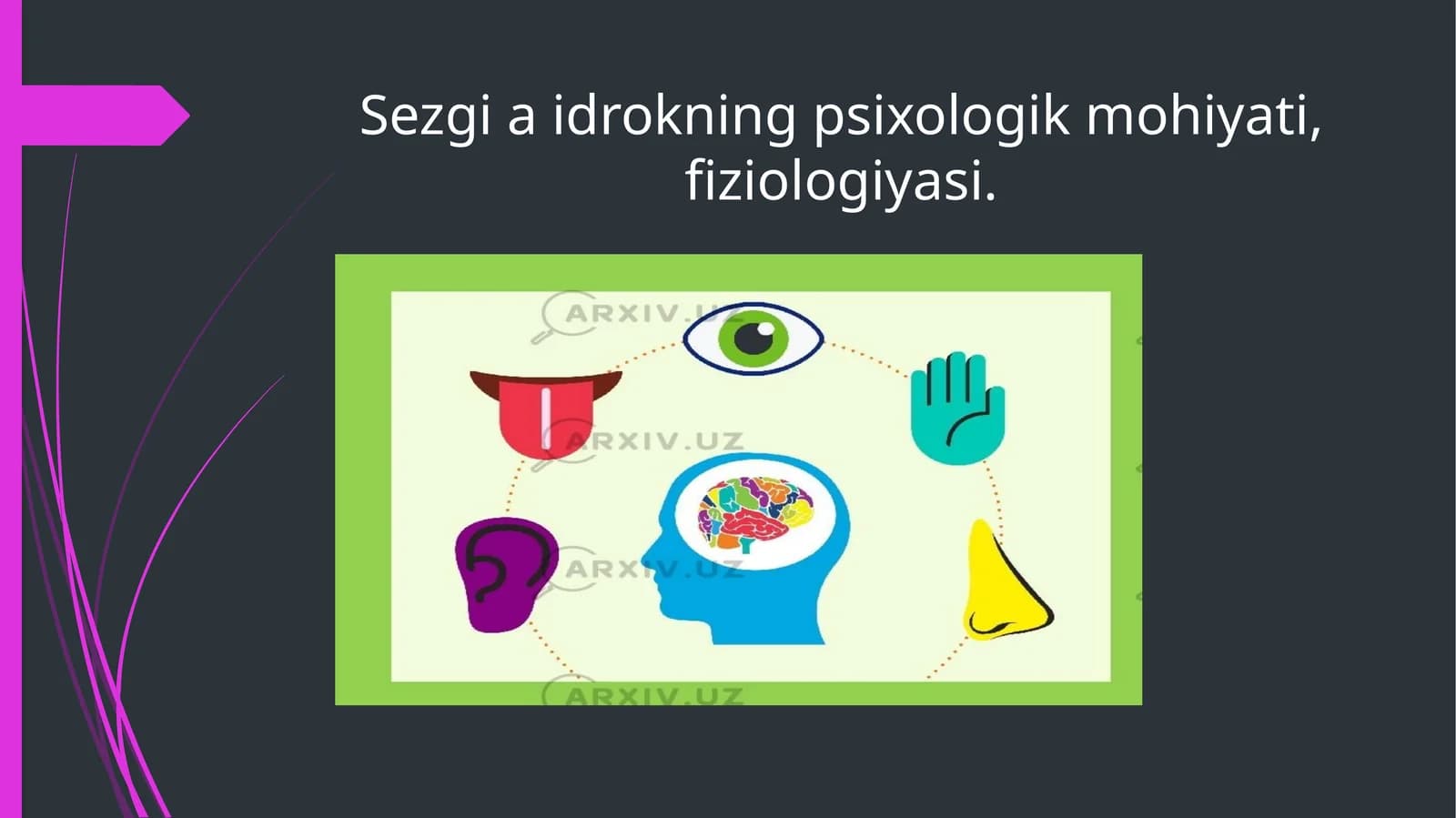 Sezgi a idrokning psixologik mohiyati, fiziologiyasi.