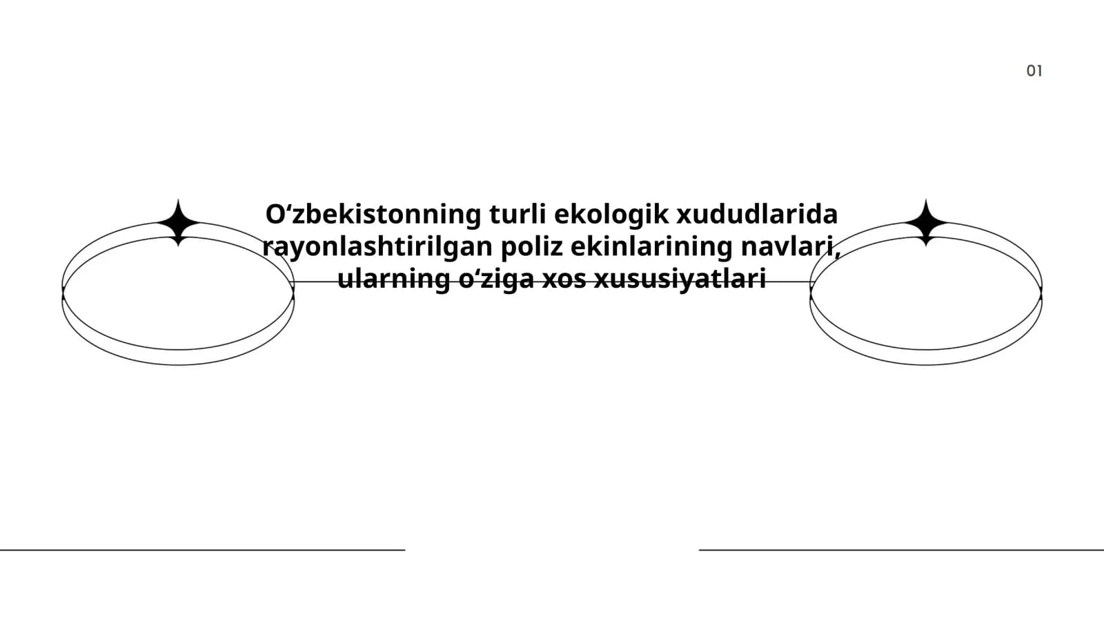 Oʻzbekistonning turli ekologik xududlarida rayonlashtirilgan poliz ekinlarining navlari, ularning oʻziga xos xususiyatlari