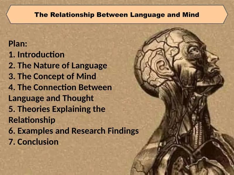 Ppt about language&mind