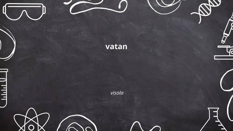 Vatan tuyg'usi