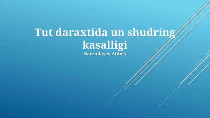 Tut daraxtida un shudring kasalligi