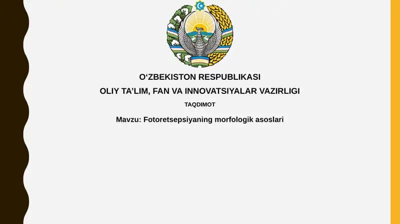 Fotoretsepsiyaningmorfologikasoslari