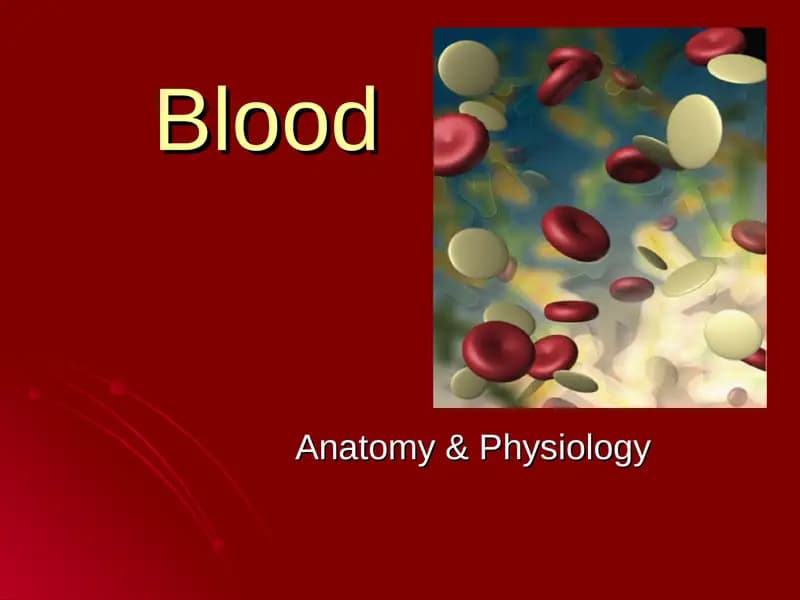 Functions of Blood