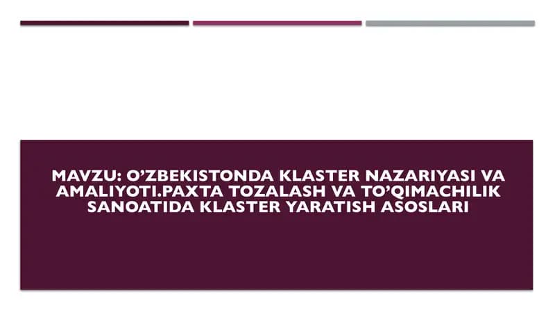 O’zbekistonda klaster nazariyasi va amaliyoti. Paxta tozalash va to’qimachilik sanoatida klaster