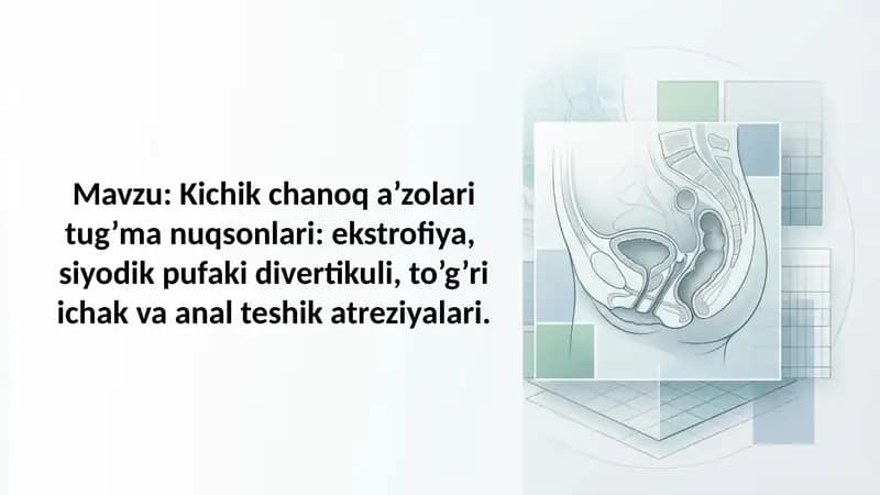 Kichik chanoq a'zolari tug'ma nuqsonlari ekstrofiya, siyodik pufaki divertikuli, to'g'ri ichak