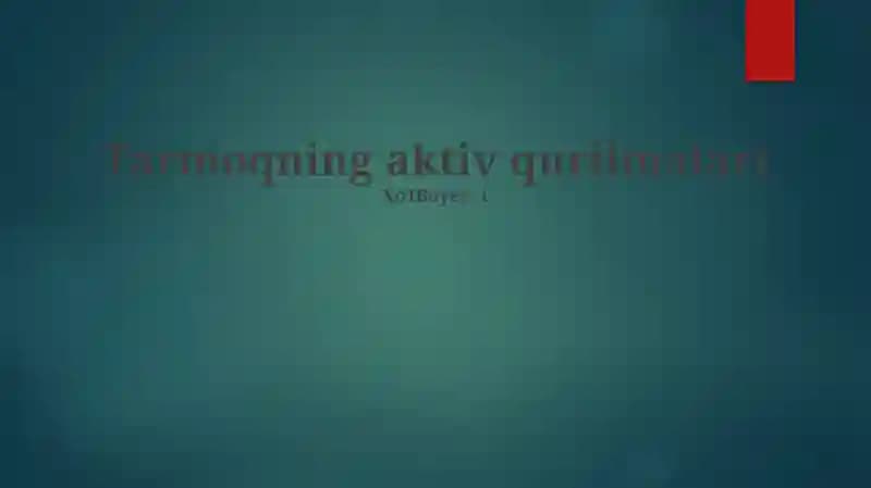 Tarmoqning aktiv qurilmalari