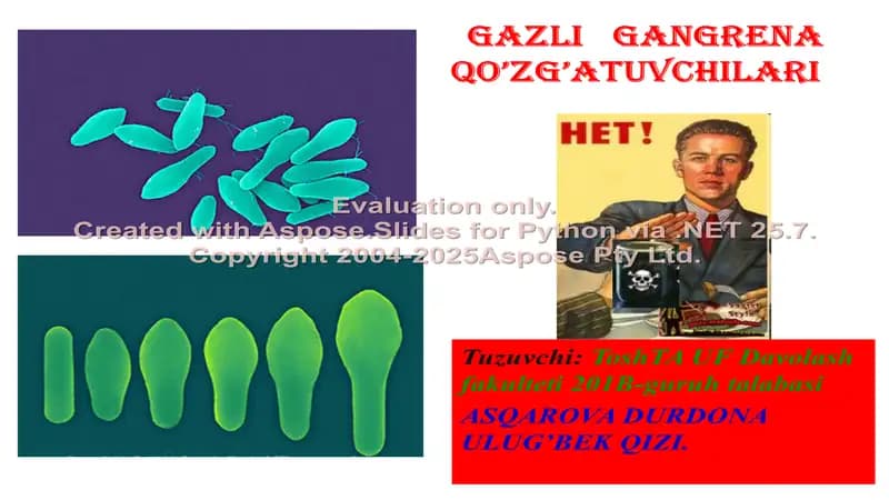 Gazli gangrena qo’zg’atuvchilari
