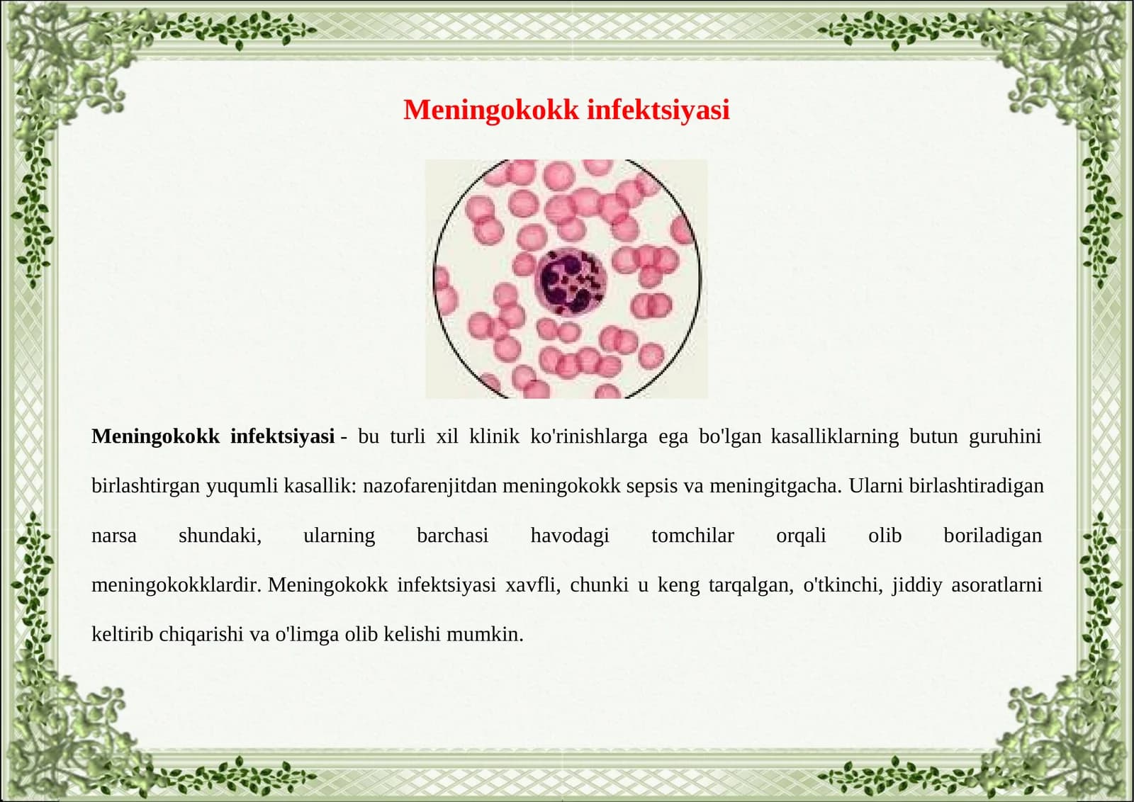Meningokokk