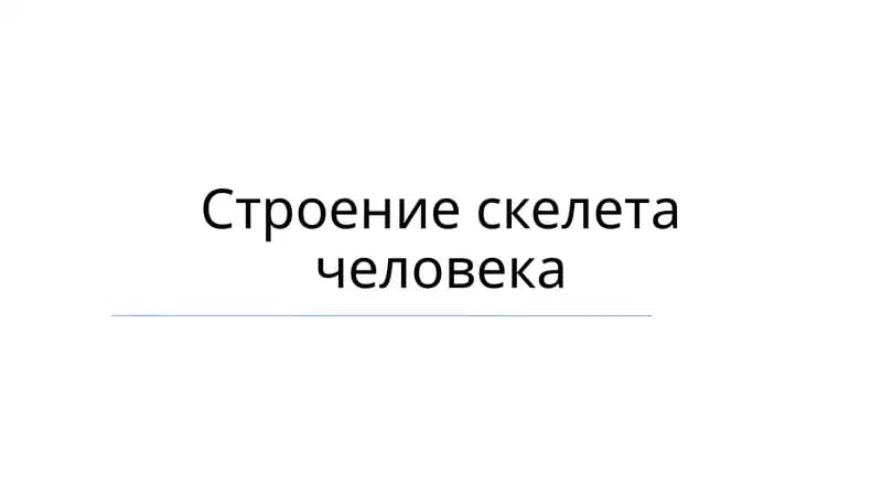 Пояс верхних конечностей