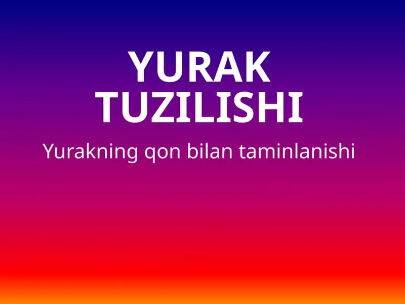 Yuraktuzilishi