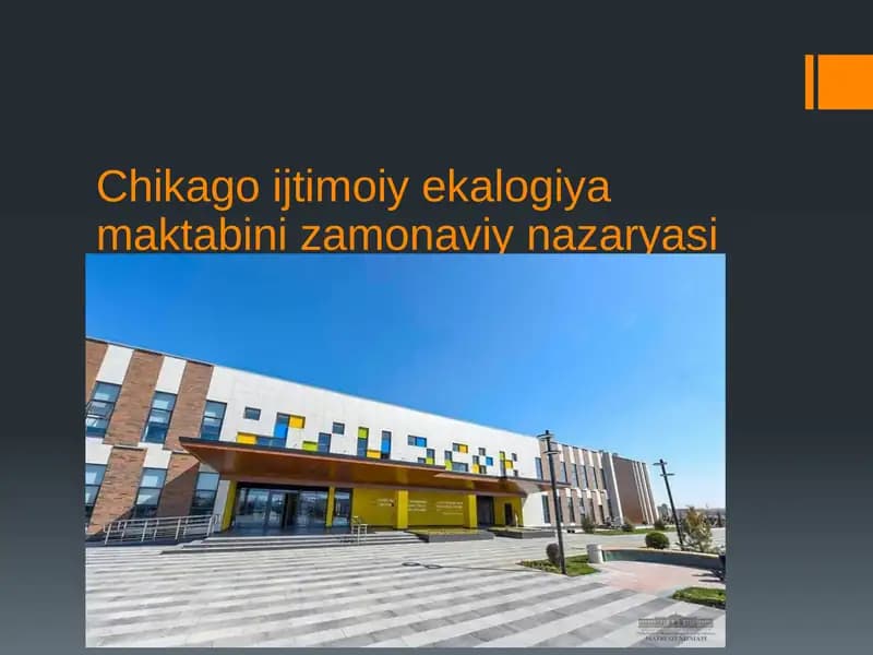 Chikago Ijtimoiy Ekologiya Maktabi Naza Ryasi